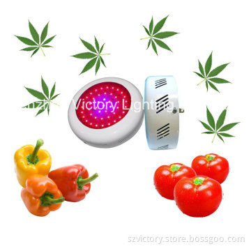White 135W High Power LED UFO Grow Light for Flowering